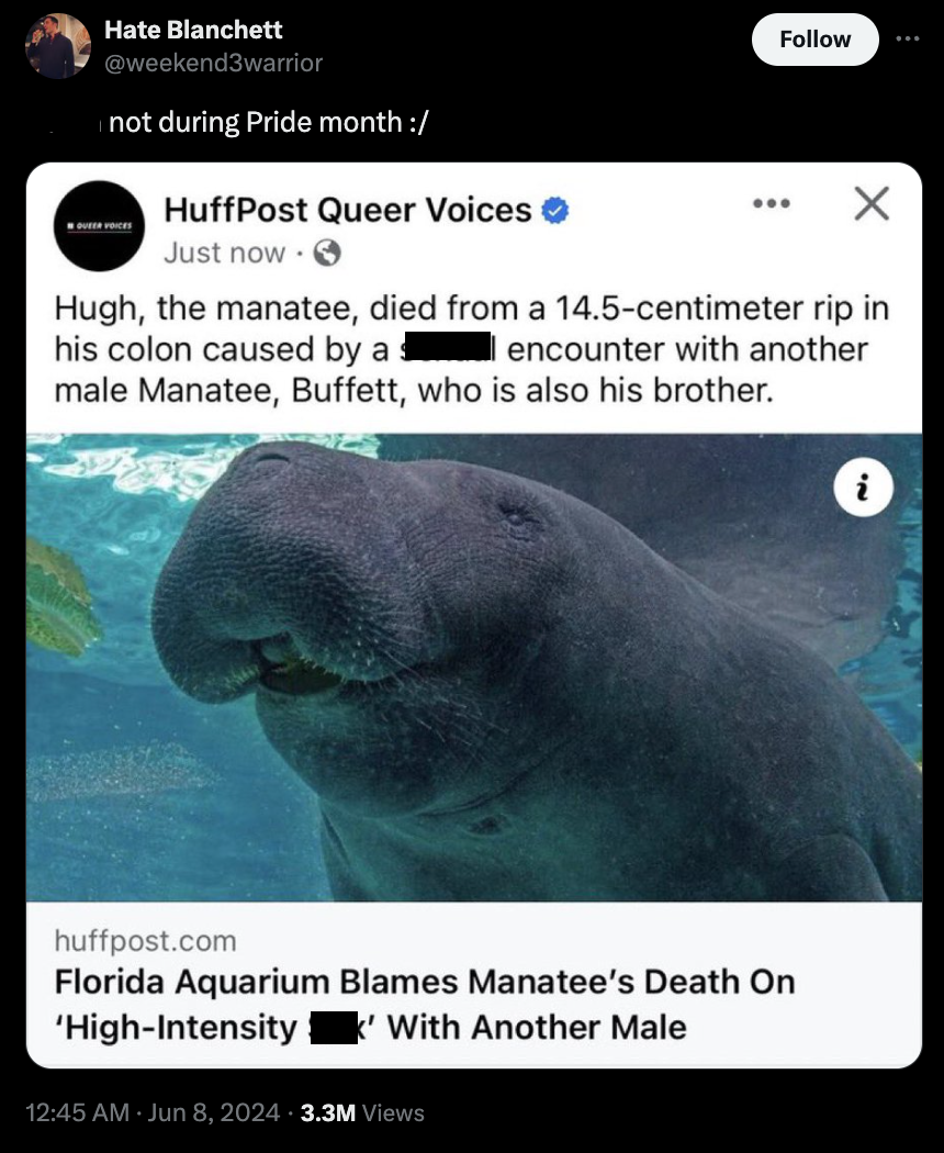 dugong - Hate Blanchett not during Pride month HuffPost Queer Voices Just now > Hugh, the manatee, died from a 14.5centimeter rip in his colon caused by a s I encounter with another male Manatee, Buffett, who is also his brother. huffpost.com Florida Aqua
